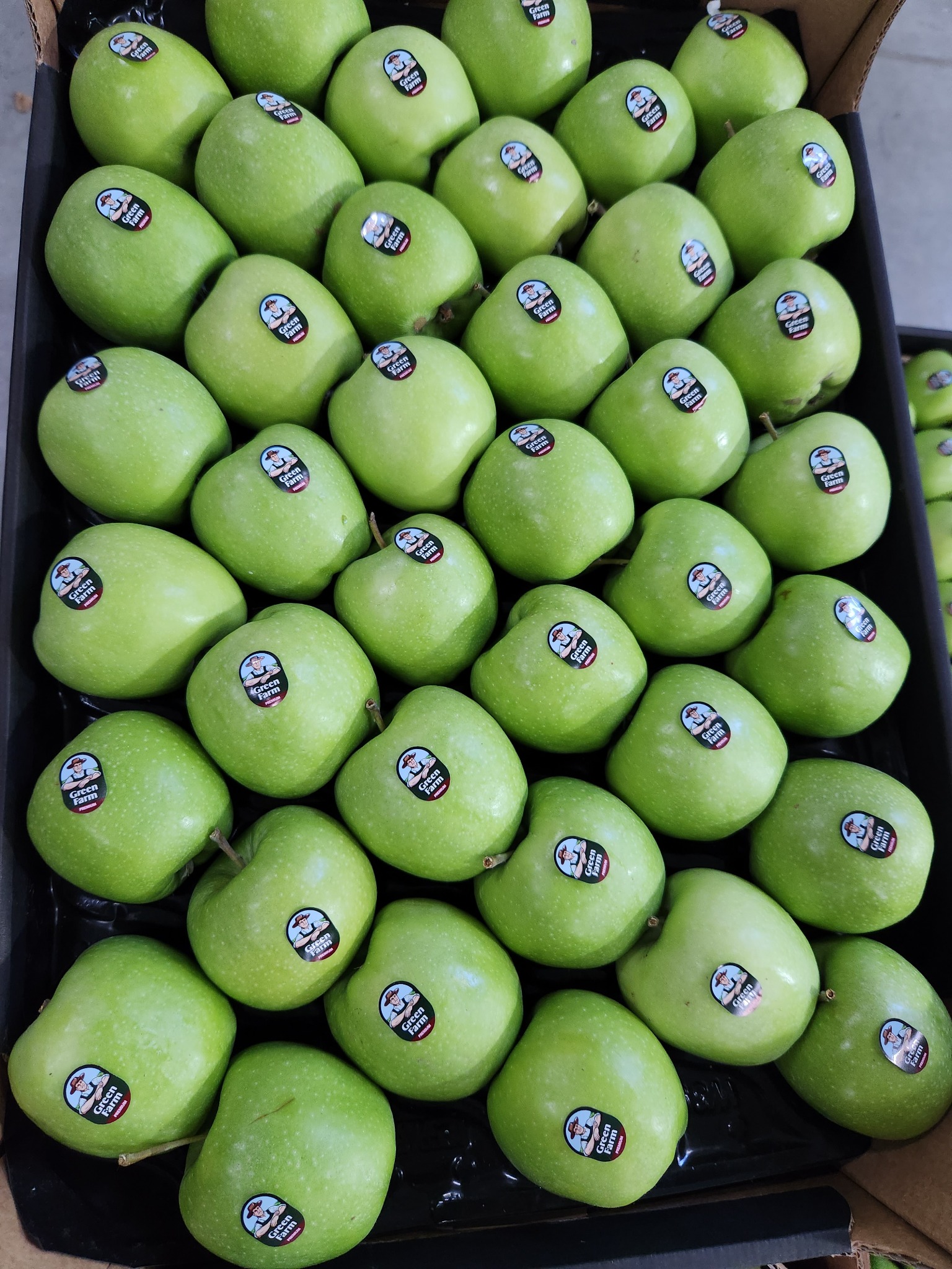 Granny Smith apple